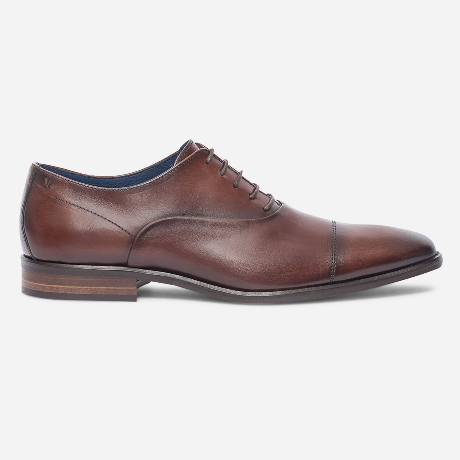 Richelieu TEXTO marron en cuir Chaussures de ville Homme ERAM