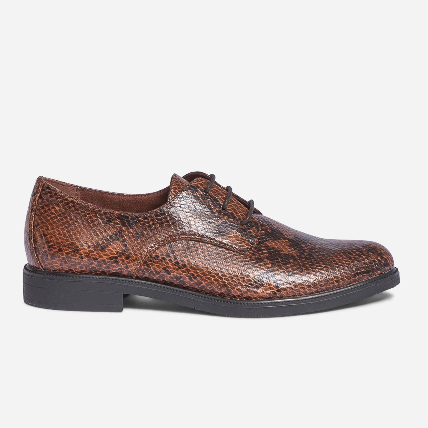 Derbies python femme sales