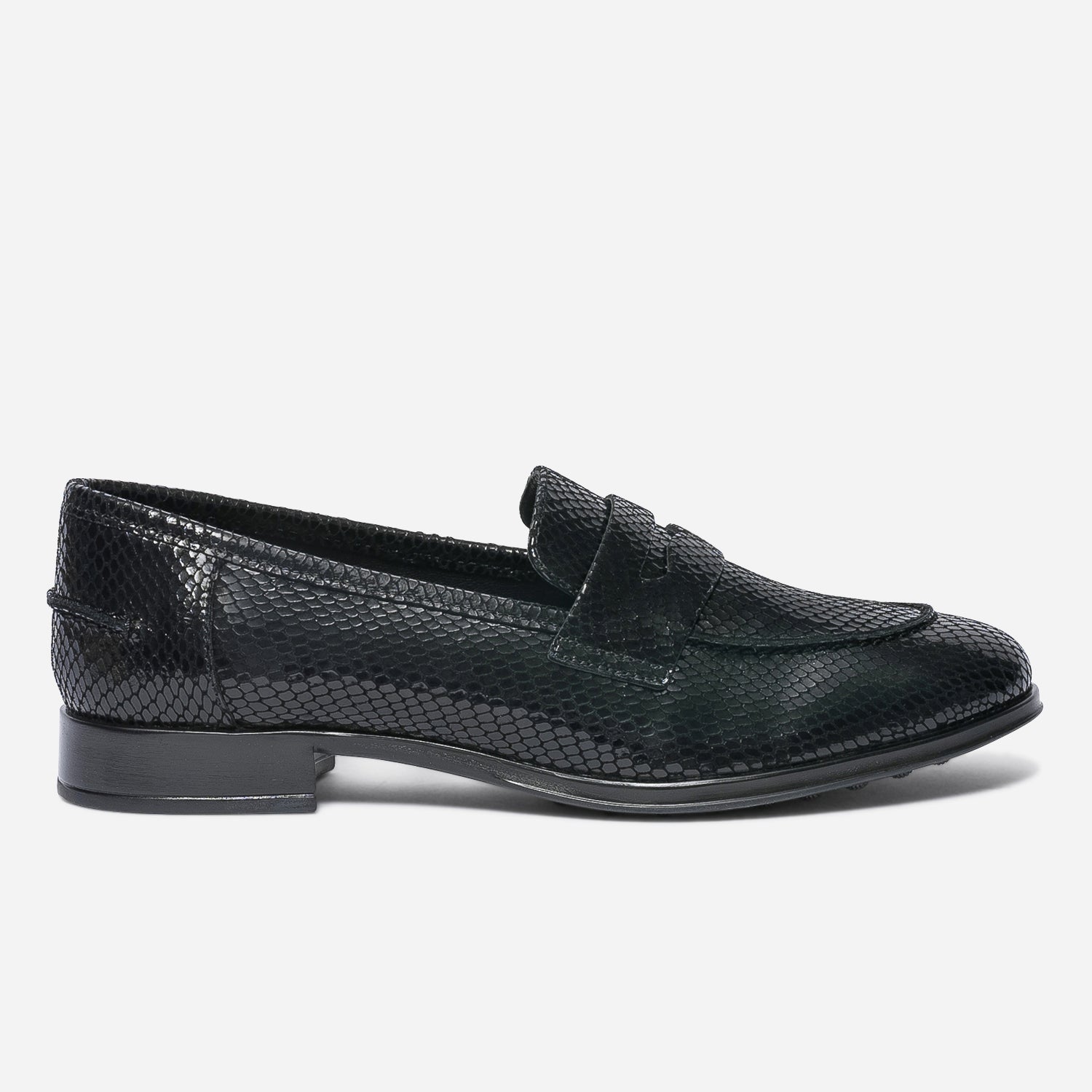Mocassin python 2025