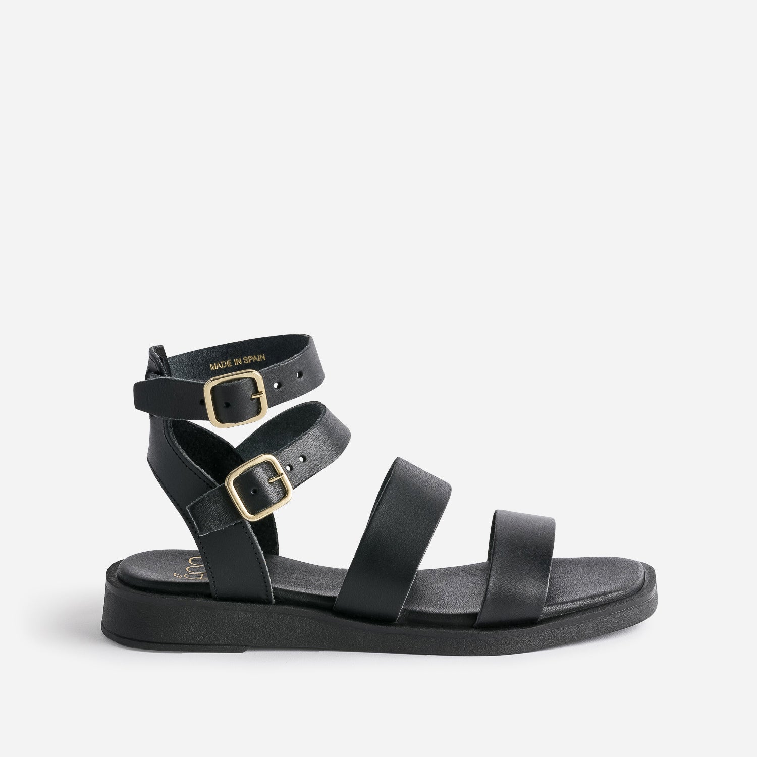Spartiates noires store