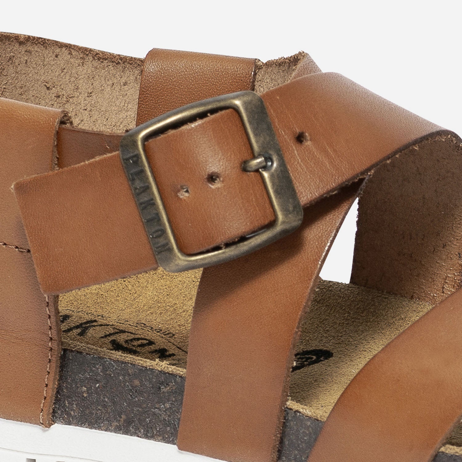 Plakton camel deals